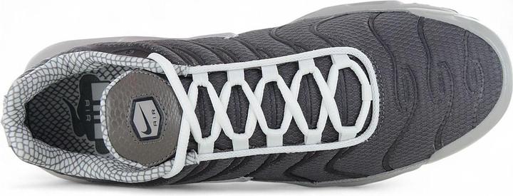 Image du produit Nike Air Max Plus (42)