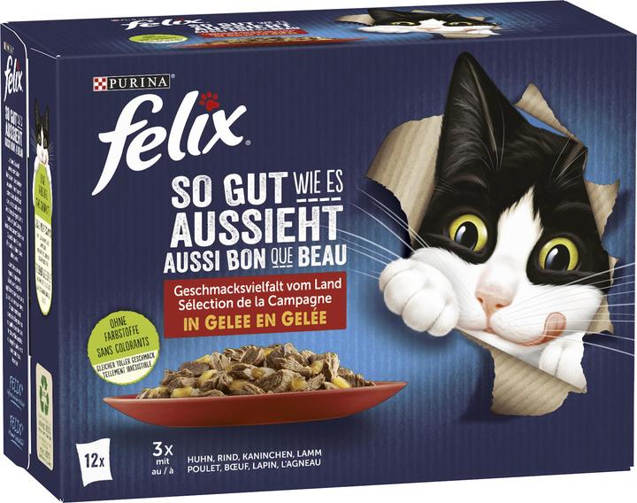 Actual product image Felix Agail meat selection (Adult, 12 pcs., 1020 g)