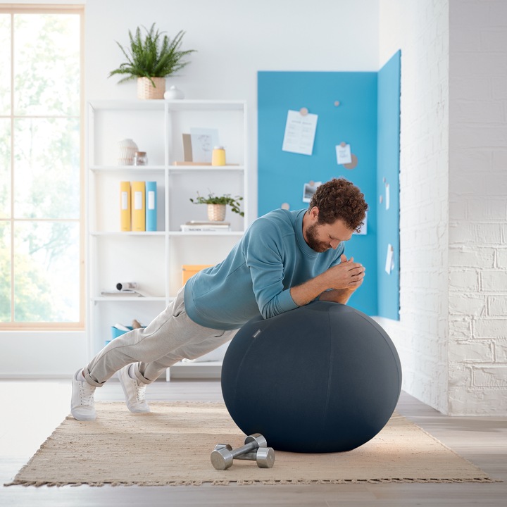 Actual product image Leitz Sitting Ball Ergo Cosy (65 cm)