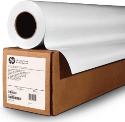 Actual product image HP PVC-free Durable Smooth Wall Paper. 17i (106.7 x 3050 cm)