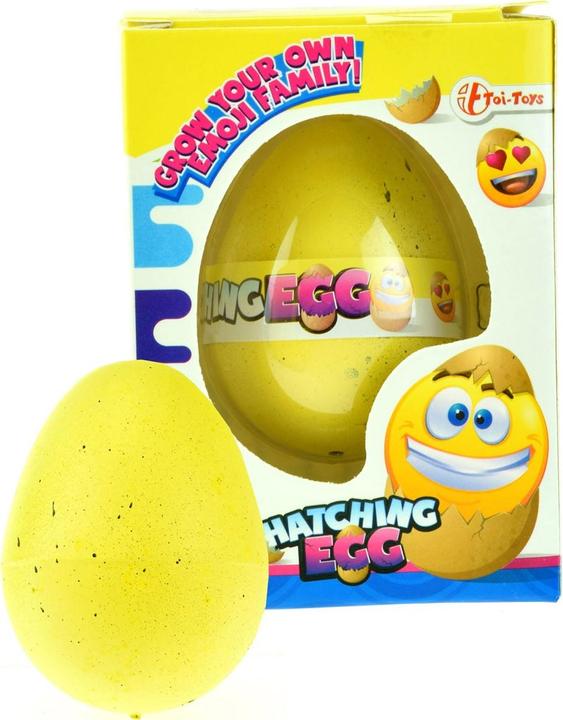 Actual product image Toi-Toys Growthsei Laughing face