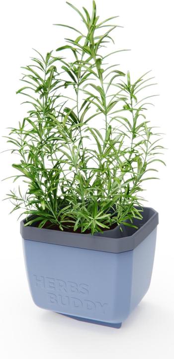 Produktbild Gusta Garden Herbs Buddy (14.90 x 16.30 x 14.50 cm)