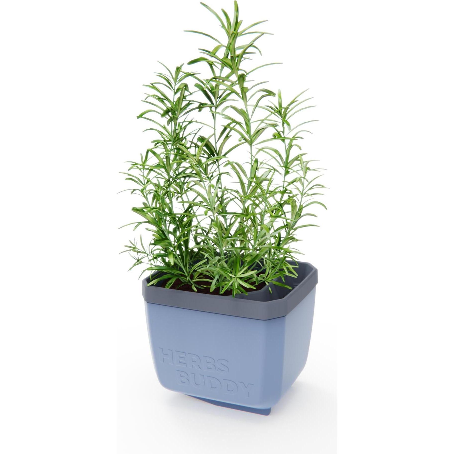 Thumbnail - Gusta Garden, Blumentopf, HERBS BUDDY Kräutertopf Blau (16.30 cm)