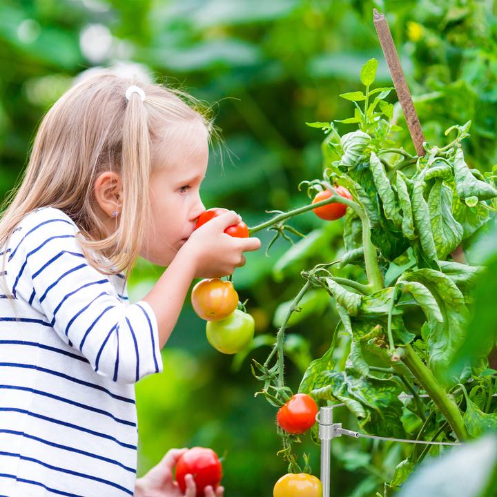 Produktbild Relaxdays Rankhilfe (22 cm, 22 cm)