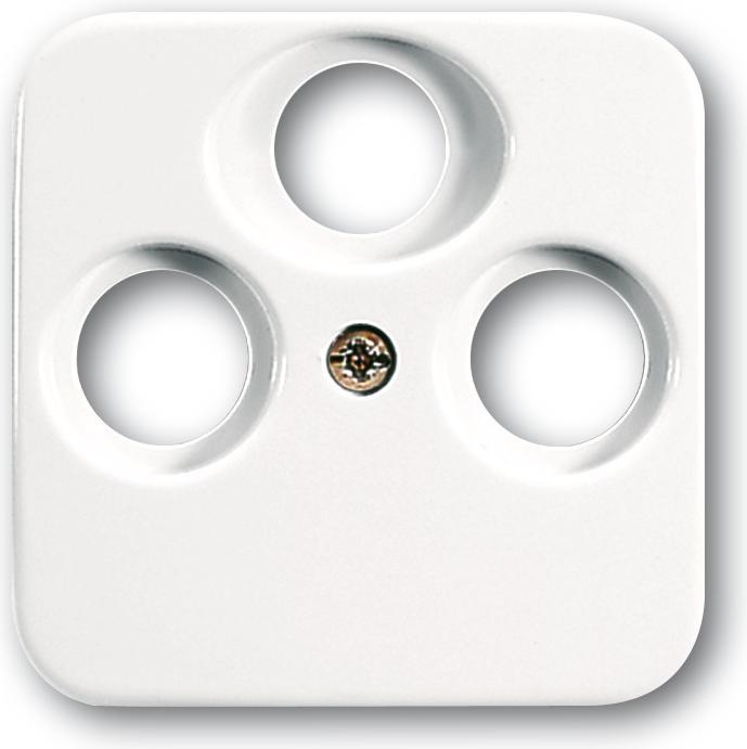 Actual product image Busch-Jaeger Central disk