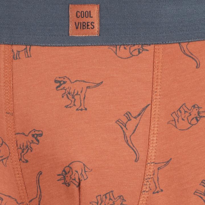 Immagine prodotto La Redoute Collections 5er-Pack Boxershorts (122, Confezione da 5 pezzi)