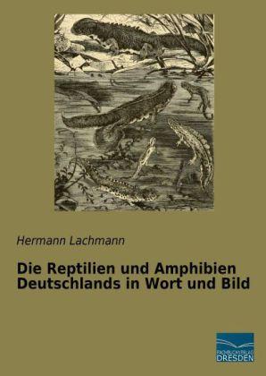 Produktbild Die Reptilien und Amphibien Deutschlands in Wort und Bild (Deutsch, Hermann Lachmann, 2014)