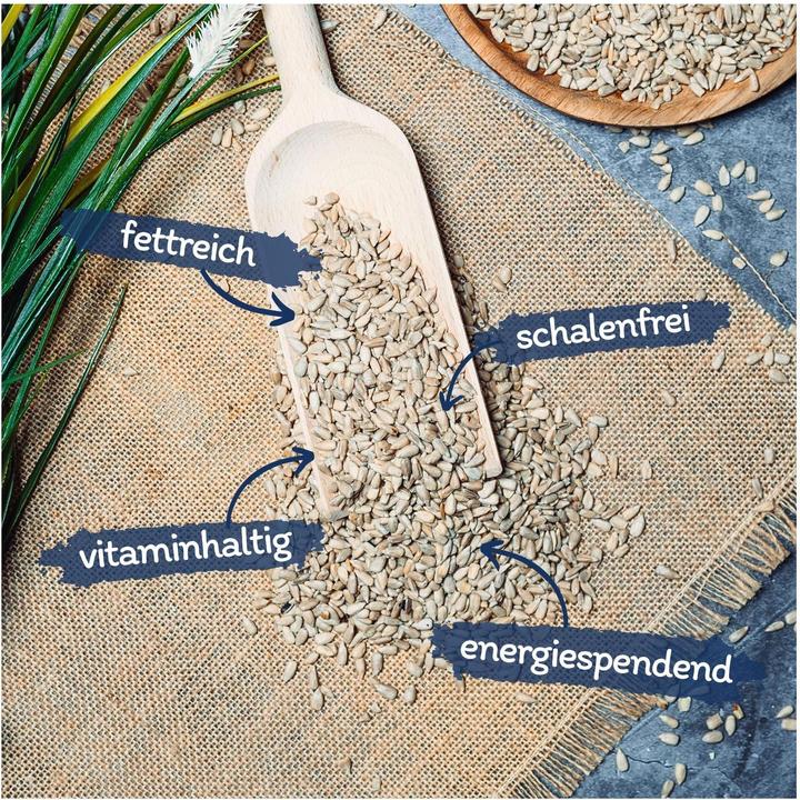 Actual product image Lyra Pet Sunflower seeds peeled (1 x, 10 kg)