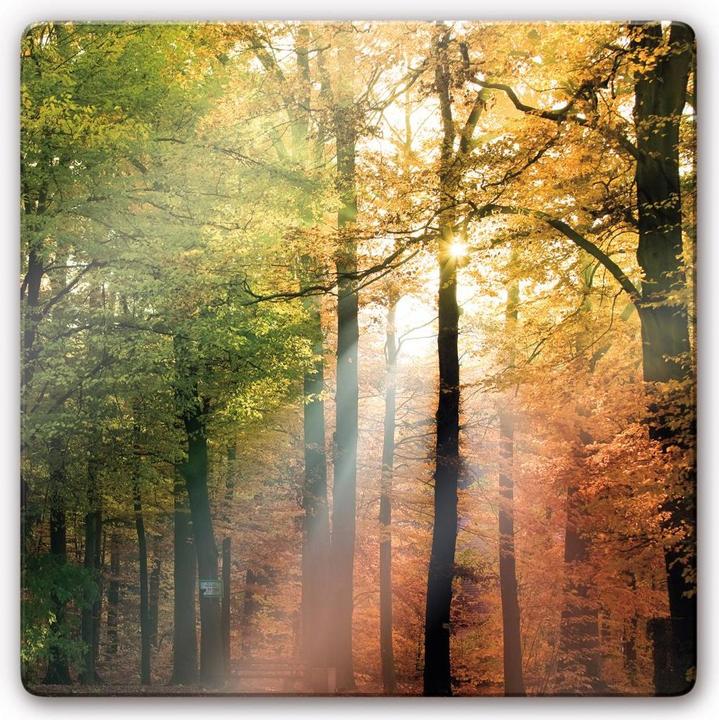Image du produit Trenddeko Automne doré (30 x 30 cm)