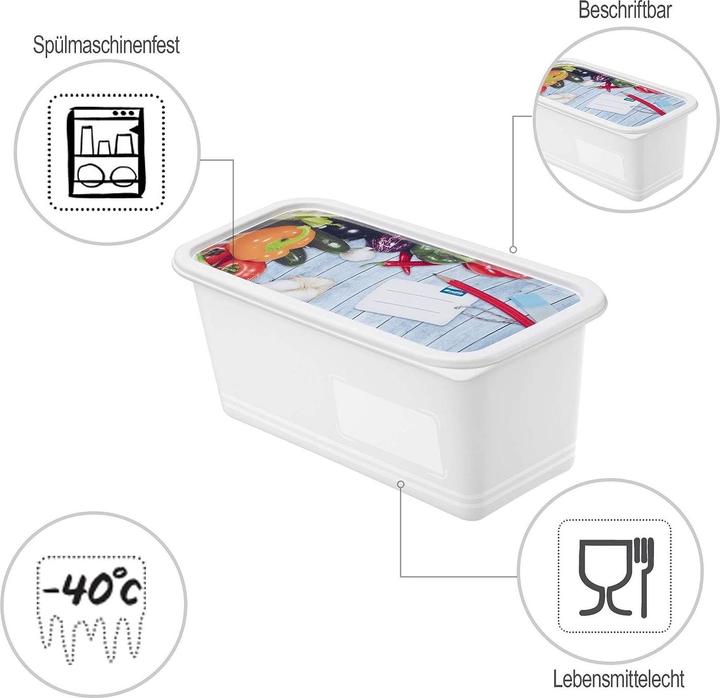 Actual product image Rotho Freezing box (1.50 l)