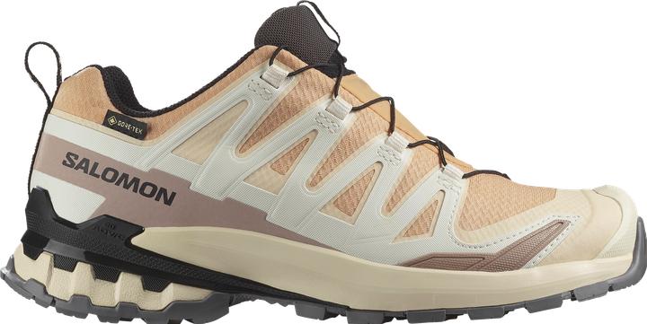 Salomon XA Pro 3D V9 GTX (38.5)