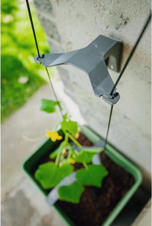 Image du produit Gusta Garden CURT CUCUMBER Gurkentopf Grau (28.70 cm, 33.50 cm)