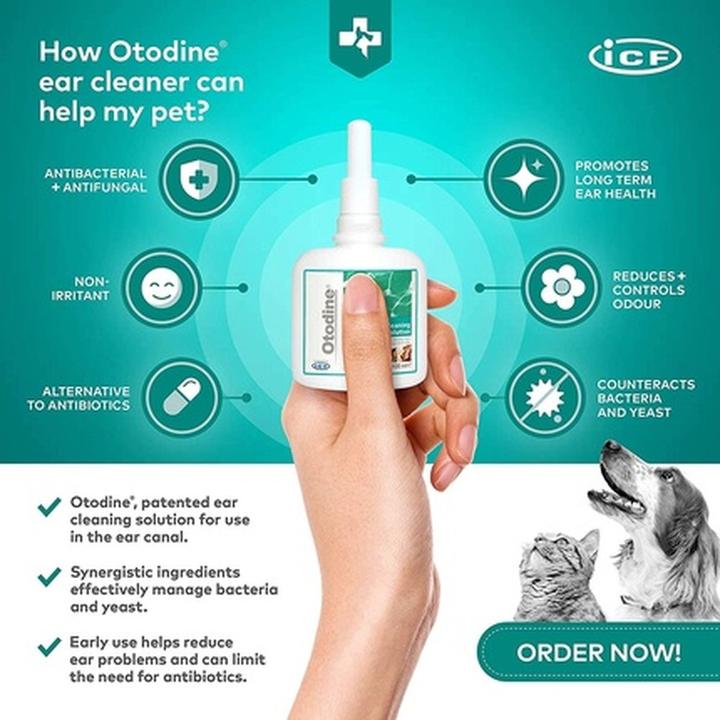 Actual product image Otodine Ear cleaner