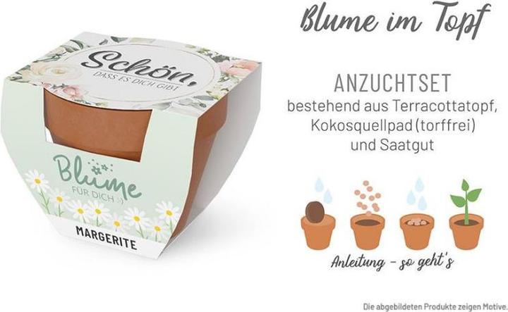 Image du produit La Vida Fleur FD D5,5H5 Fleurs Lovely (5.50 x 5 cm)