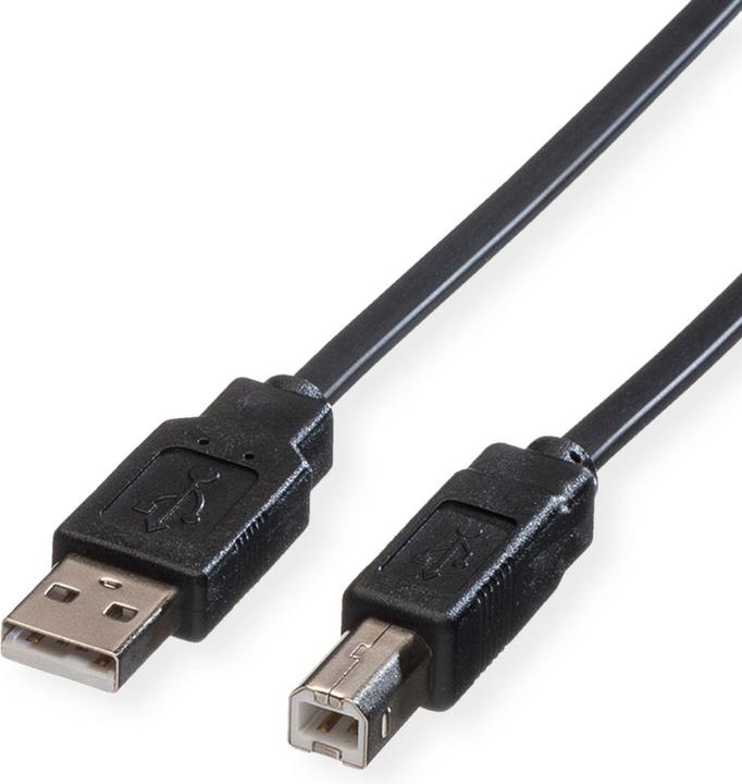 Image du produit Roline USB 2.0 (0.80 m, USB 2.0)