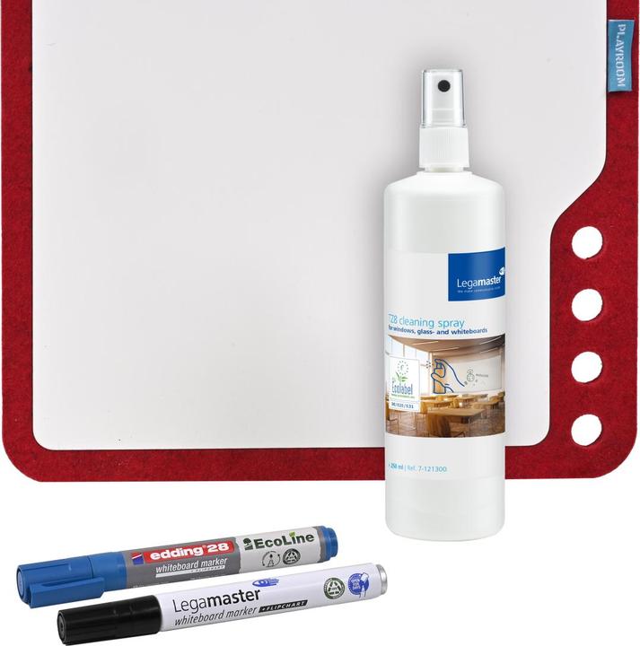 Actual product image Legamaster Cleaning spray