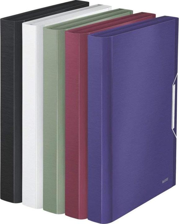 Actual product image Leitz Folder Style PP (A4, 1x)