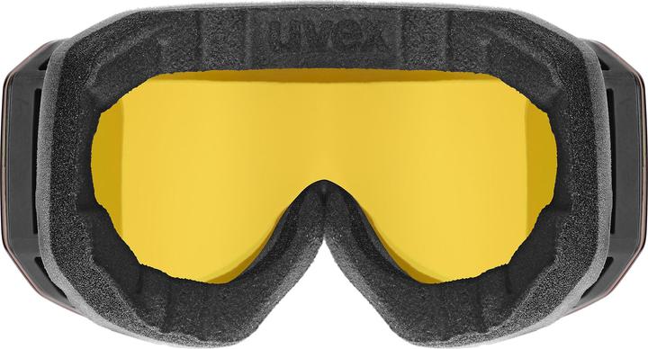 Image du produit Uvex Sports Evidnt Attract