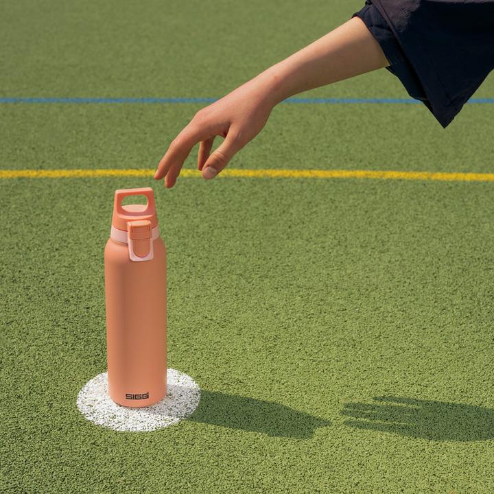 Produktbild Sigg H&C One Light (0.55 l)