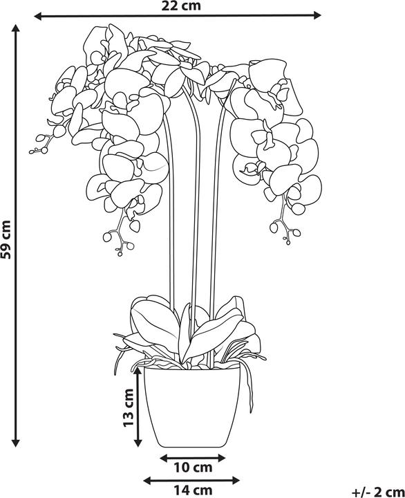 Immagine prodotto Beliani Orchidea Oncidium (59 cm)