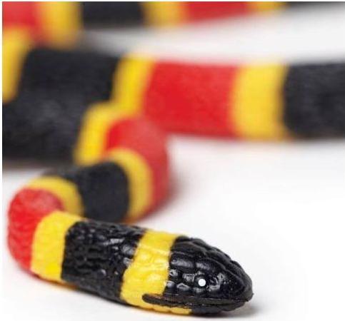 Image du produit Safari Bébé serpent corail