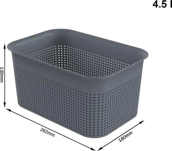 Actual product image Rotho Box 4,5 l BRISEN (4.50 l)