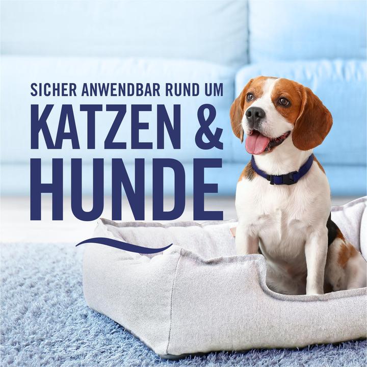 Immagine prodotto Febreze Freschezza invernale