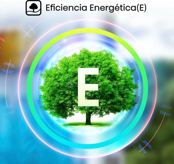 Actual product image Hisense RT267D4AWE Two-Door Refrigerator 206 (206 l)