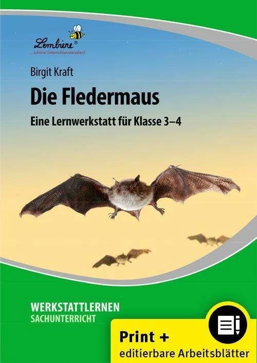 Produktbild Die Fledermaus (Set) (Deutsch, Birgit Kraft, 2024)