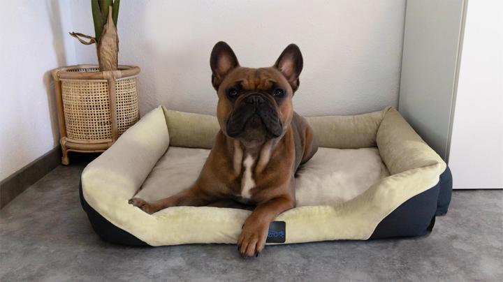 Produktbild Aspero Hundebett Hanko (Hund)