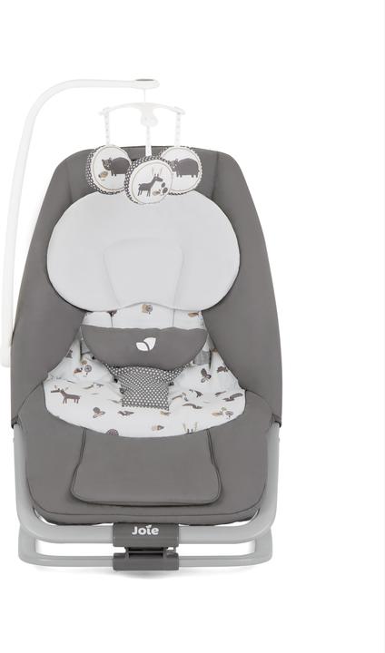 Actual product image Joie Dreamer