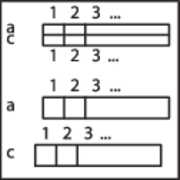 Image du produit Wago Module de transfert pour connecteurs