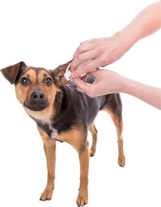 Actual product image Trixie Care wipes for ears 30pcs (Cat, Rodents, Dog)