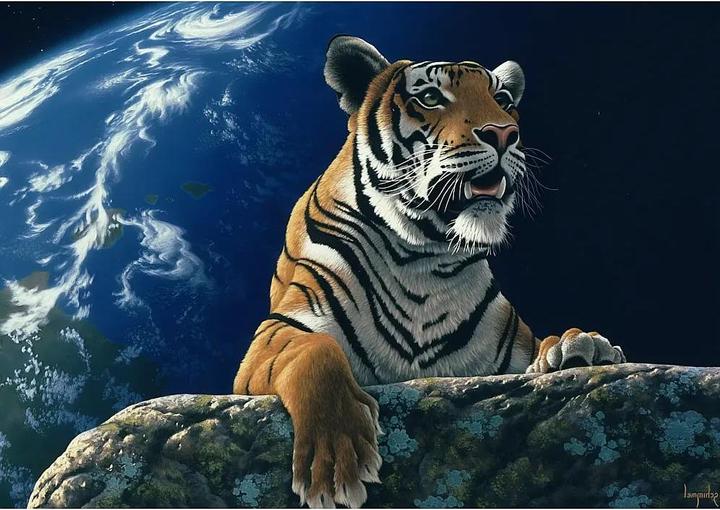 Immagine prodotto Grafika Puzzle 2000 pezzi Only One Home (2000 pezzi)