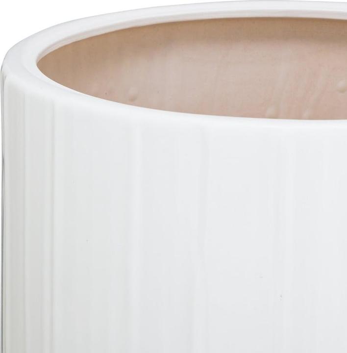 Image du produit pfister Mika (30 cm)