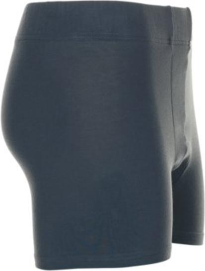 Actual product image Planam Shorts 190 g/m² grey S M (M)