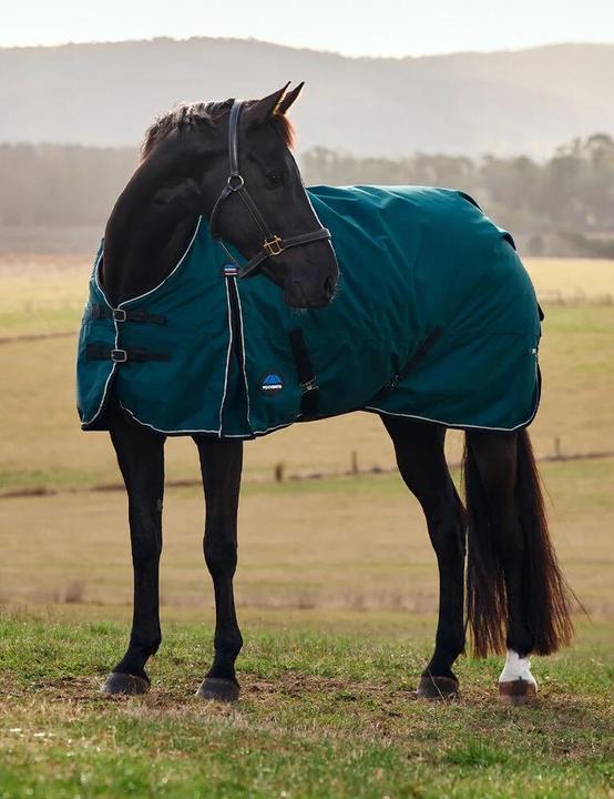 Produktbild Weatherbeeta ComFiTec Classic Turnout 50g (145 cm)
