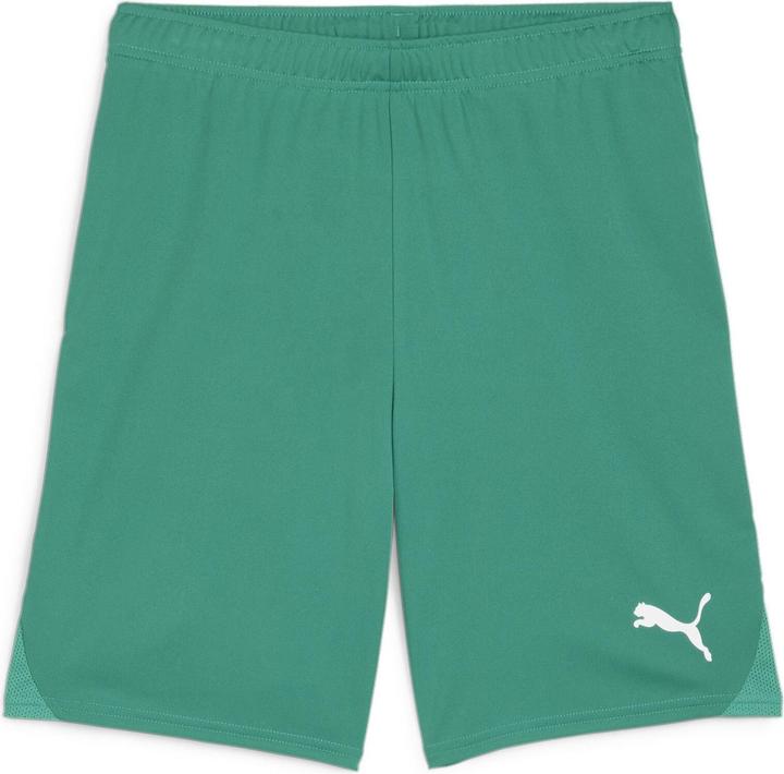 Produktbild Puma teamGOAL Shorts (3XL)