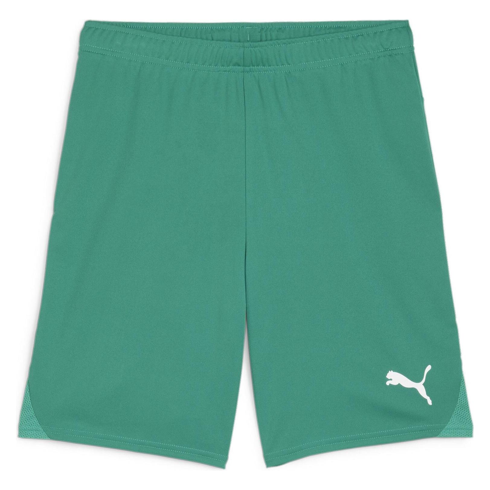 Puma, Mannen, Sportbroek, TeamGOAL Shorts (Xl), Groen