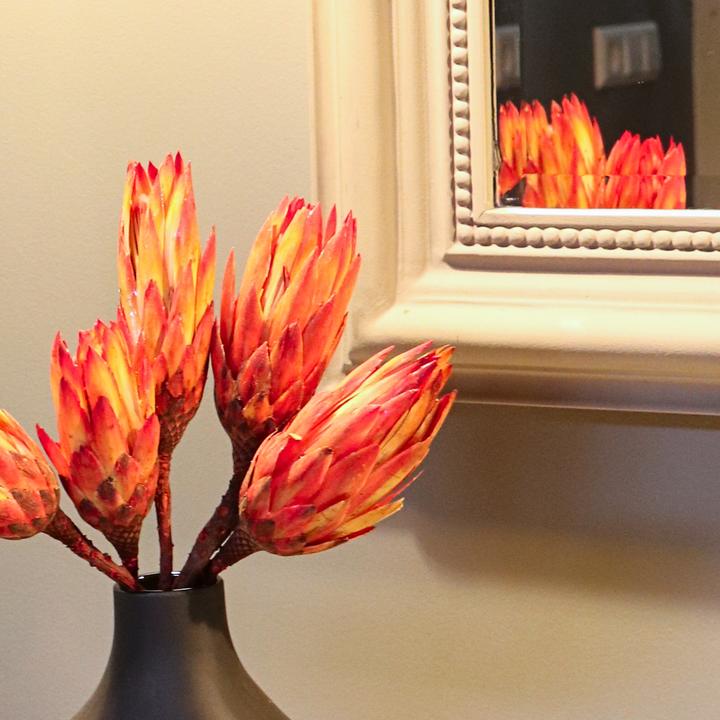 Produktbild Plant in a Box - (30 cm)