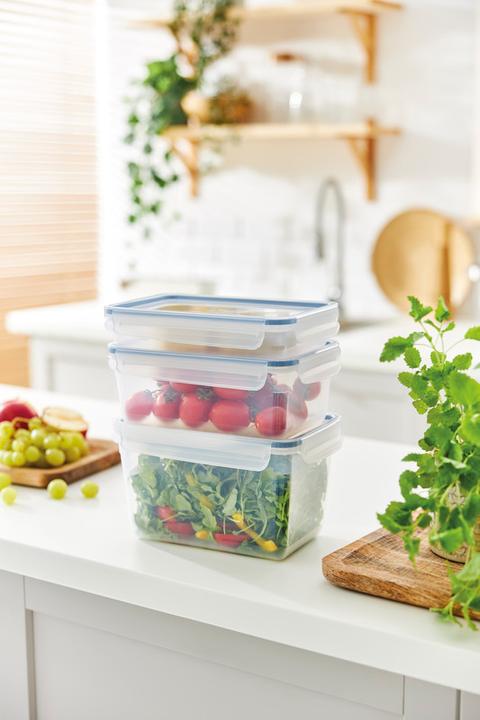 Actual product image Rotho Clic & Lock (3 l)