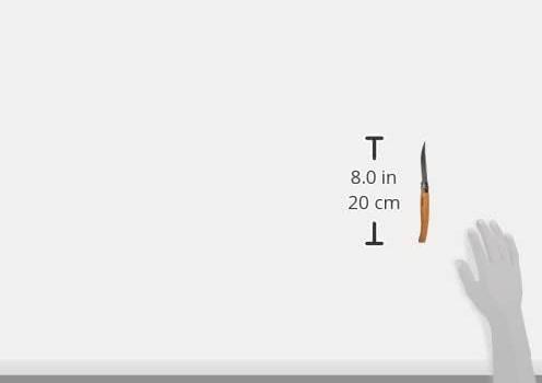 Immagine prodotto Opinel 000517 Coltello marrone L (10 cm)