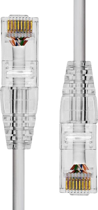 Image du produit ProXtend Slim CAT6A UTP Ethernet Cable Grey 12.5m (UTP, CAT6a, 12.50 m)