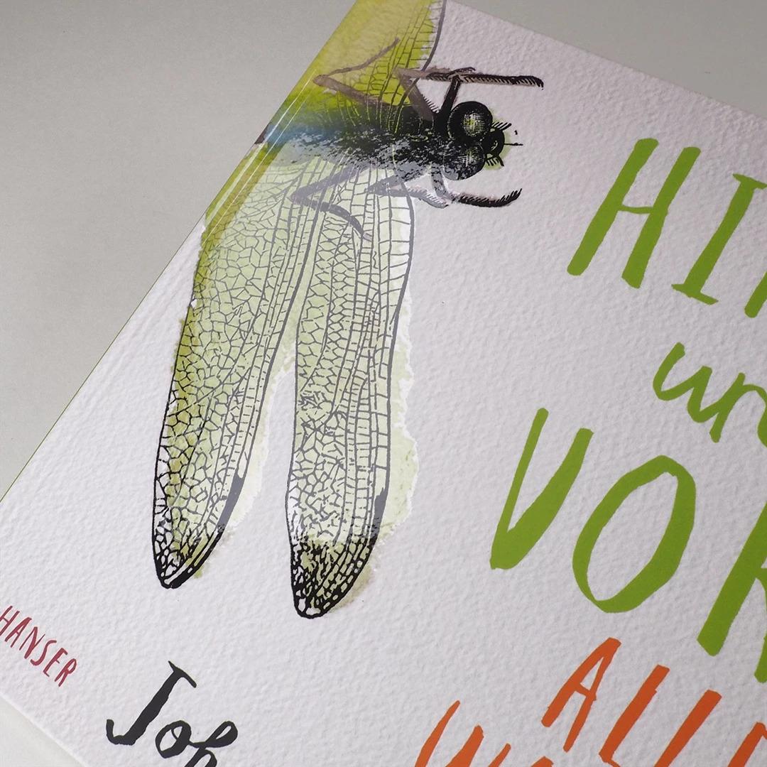 Thumbnail - Hinten und vorn - Alles, was krabbelt und fliegt, Kinderbücher von John Canty