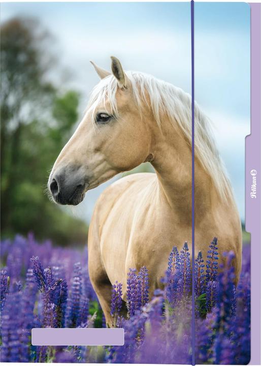 Actual product image Pelikan Folder (A3, 1 x)