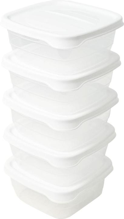 Hobby 5er-Set Frischhaltedosen Vorratsdosen Aufbewahrungsdosen Boxen (0.25 l)