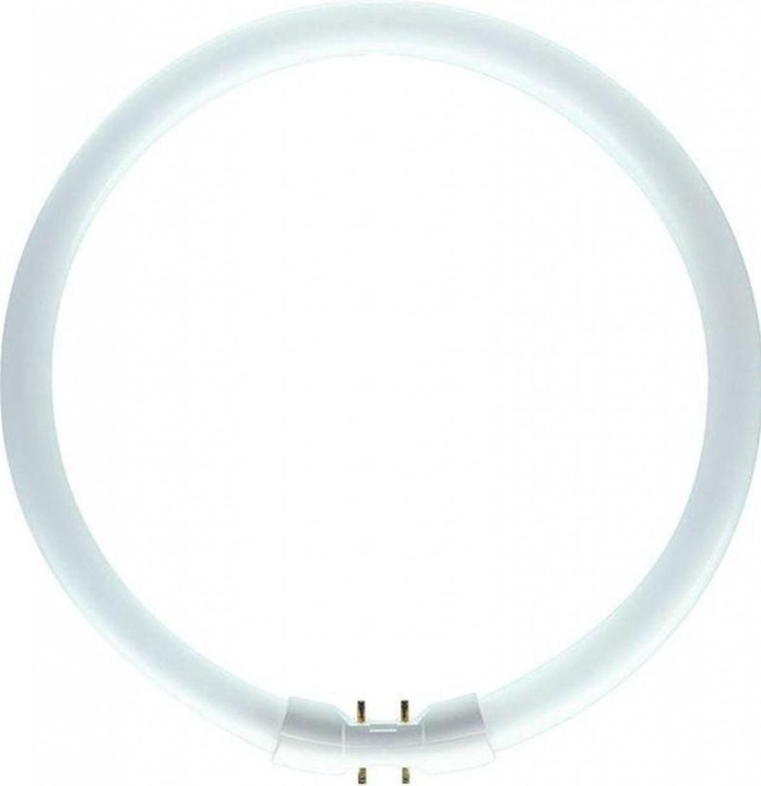 Philips Master TL5 Circular (2GX13, 40 W, 3300 lm, 10 x, G)