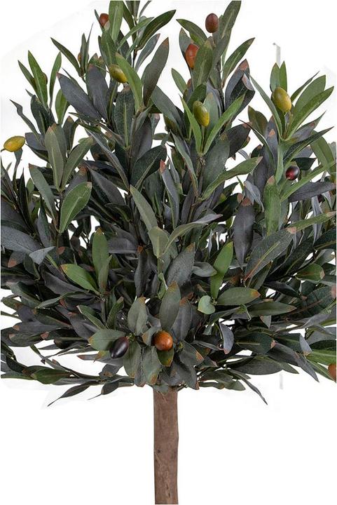 Image du produit House Nordic Olive (126 cm)