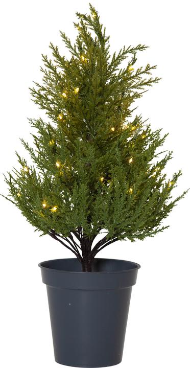 weihnachtsstern 60 cm WEIHNACHTSSTERN - KREIDEBEIGE