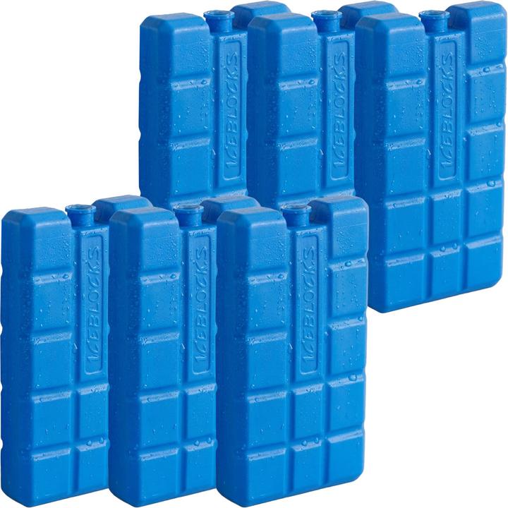 ProWorld Cooling elements in a set of 6, cold packs, 200 g each